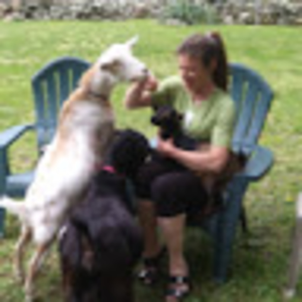 Meet your Posher, Alisa